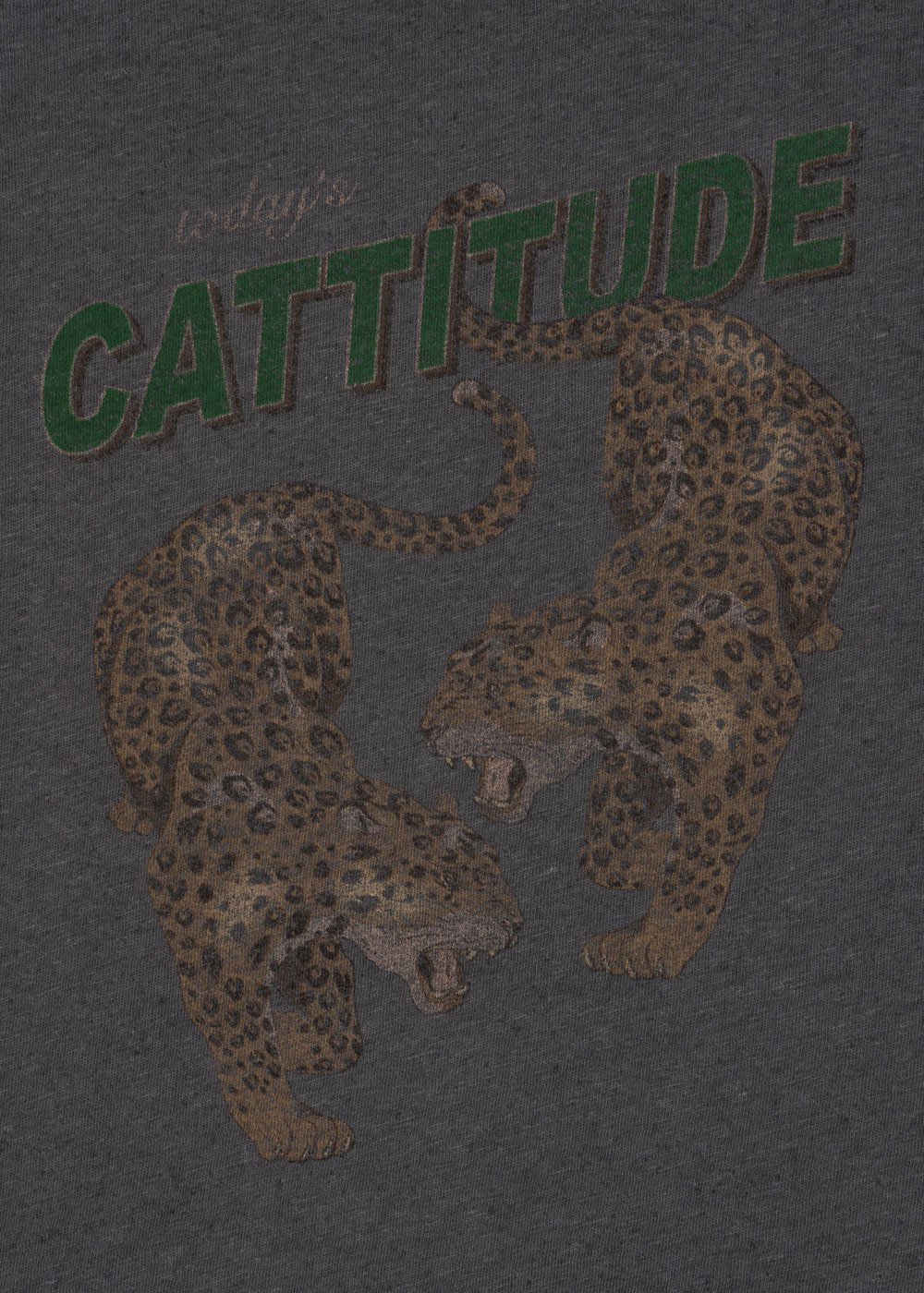 Лонгслів Era Cattitude