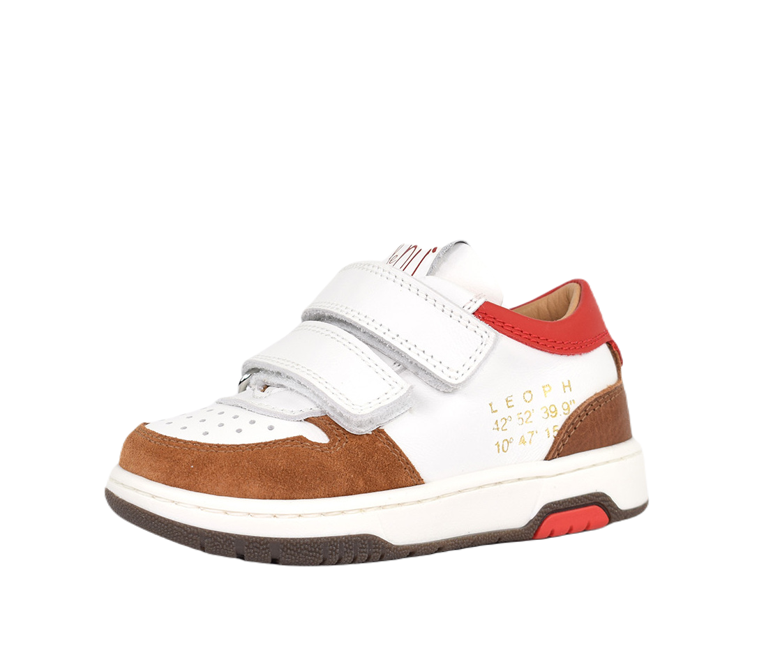 Кеди Arex Brown